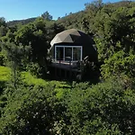 Nature Nest