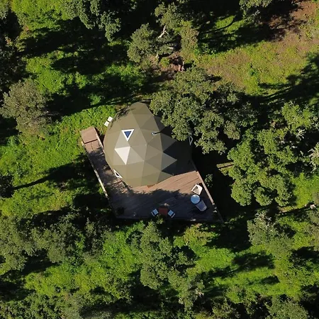 Nature Nest