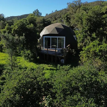 Nature Nest
