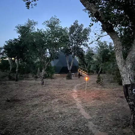 Nyaraló Nature Nest